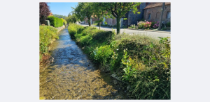 téléchargement (1)