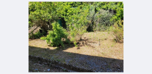 téléchargement (3)